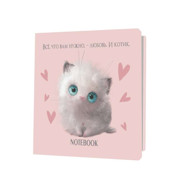 Notebook. Everything you need is love. And a pink kitty