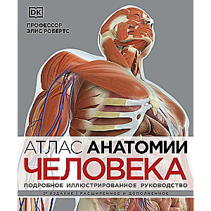 Atlas of Human Anatomy. Detailed Illustrated Guide