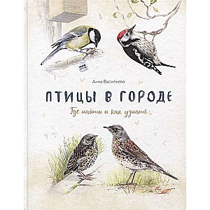 Birds in the City. Where to Find and How to Recognize