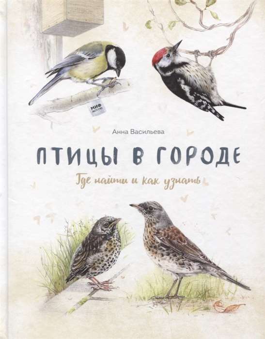 Birds in the City. Where to Find and How to Recognize