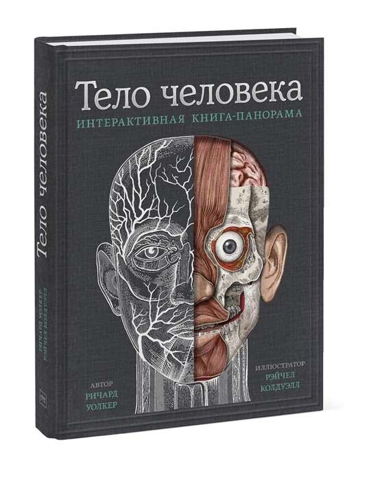 The Human Body. An Interactive Panorama Book