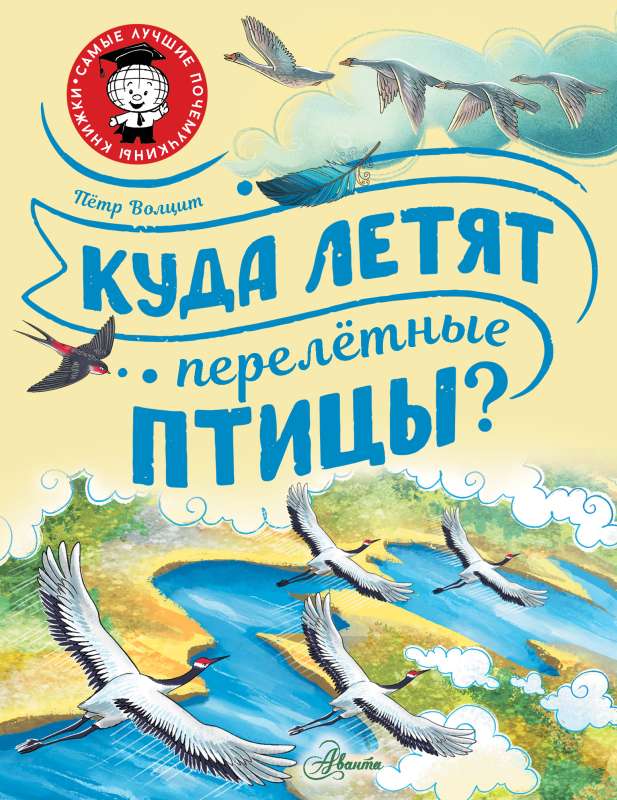 Where Do Migratory Birds Fly?