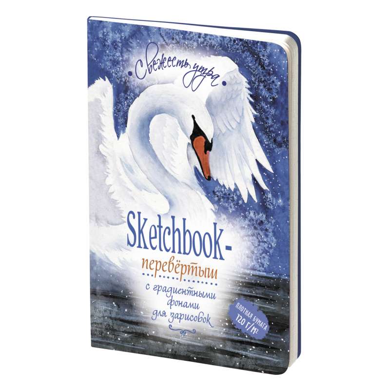 Sketchbook DAY/NIGHT cover with swans
