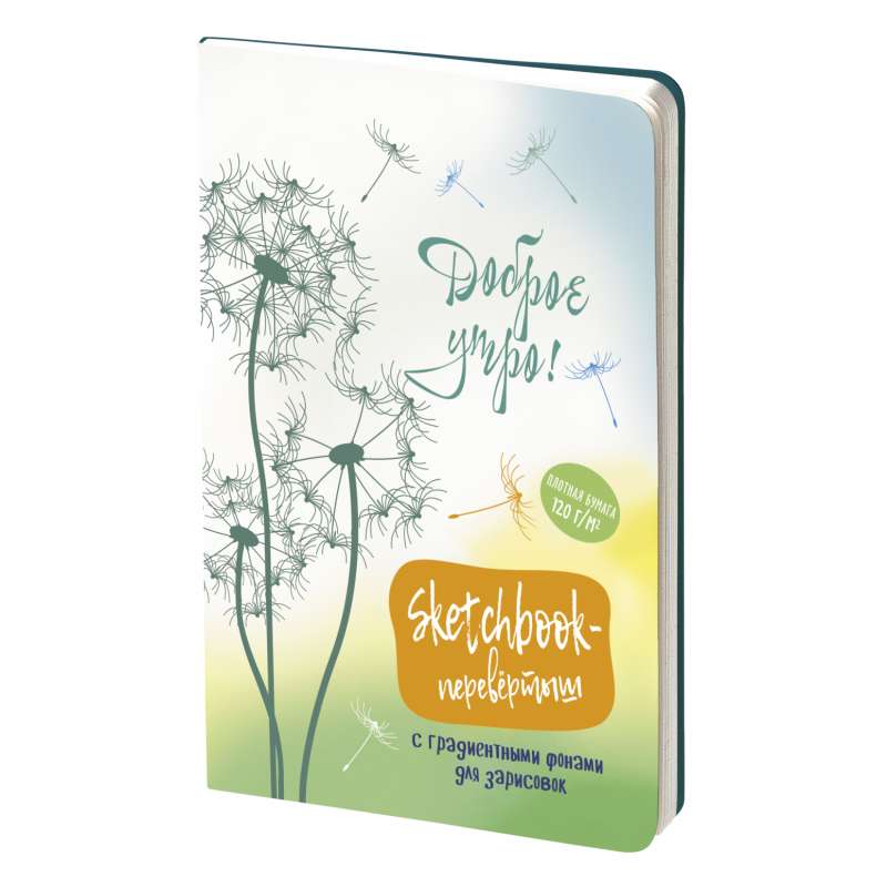 Sketchbook DAY/NIGHT cover with dandelions