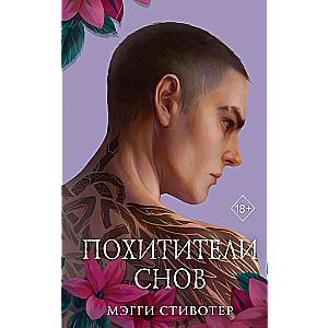 The Raven Cycle. Dream Thieves Gift Edition