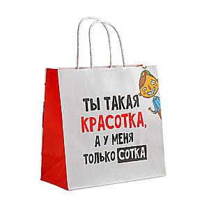 Gift bag Beauty, 22 x 22 x 11 cm