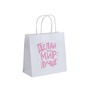 Gift Bag Make This World Better, 22 x 22 x 11 cm