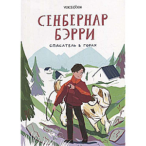 Saint Bernard Barry. Rescuer in the Mountains