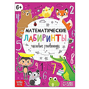 Mathematical Mazes