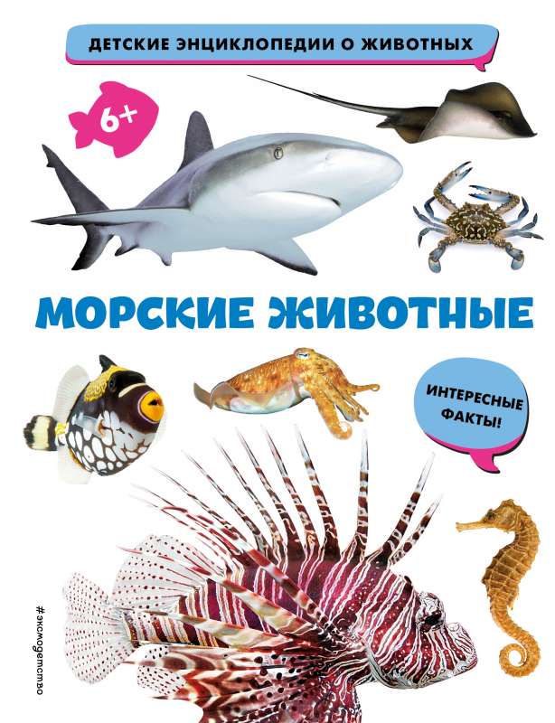 Marine Animals