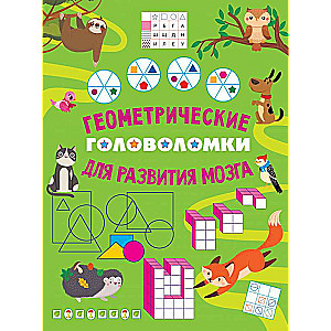 Geometric Puzzles for Brain Development