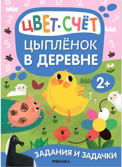 Chick in the Village. Tasks and Puzzles