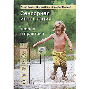 Sensory Integration Theory and Practice