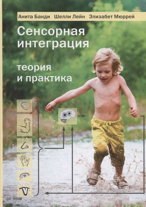 Sensory Integration Theory and Practice