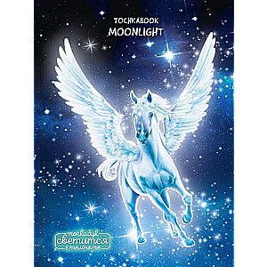 Tochkabook. Moonlight. Magical Pegasus 72 pages, glowing in the dark