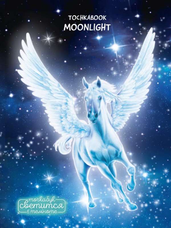 Tochkabook. Moonlight. Magical Pegasus 72 pages, glowing in the dark