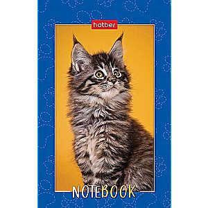 Notepad 48s A7 - Fluffy Paws