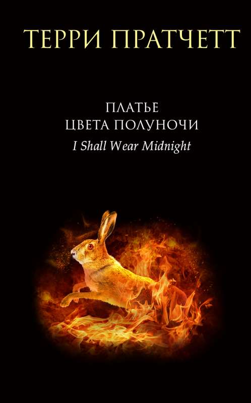 The Midnight Dress