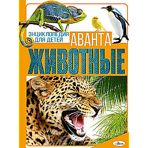 Animals