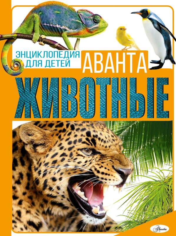 Animals