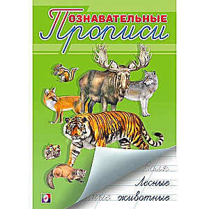 Forest Animals