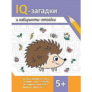 IQ Puzzles and Labyrinths - Solutions: 5+