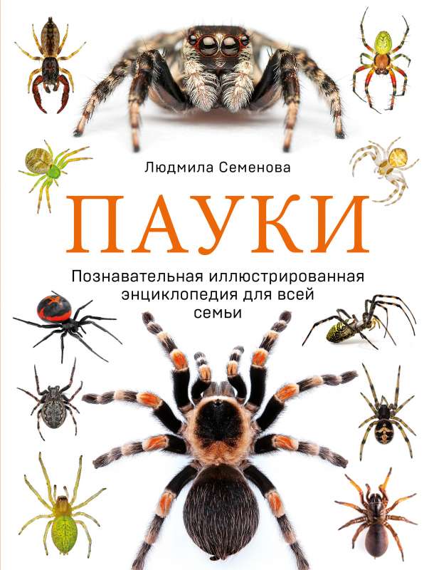 Spiders. An Illustrated Educational Encyclopedia for the Whole Family