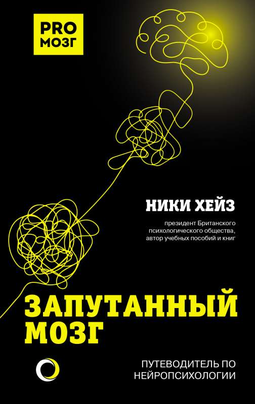Confounded Brain. A Guide to Neuropsychology