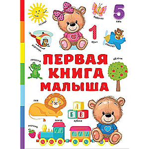 The Baby's First Book