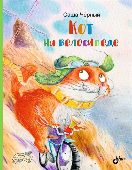 Cat on a Bicycle