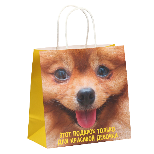 Gift bag Podarochek, 22 x 22 x 11 cm