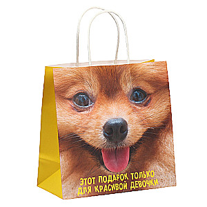 Gift bag Podarochek, 22 x 22 x 11 cm