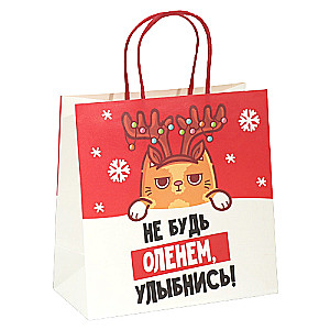 Gift bag Don't be a deer, 22 x 22 x 11 cm