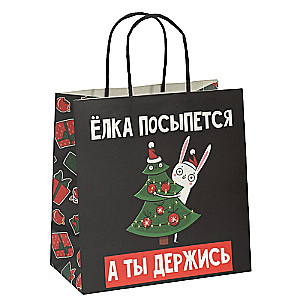 Gift bag Hold on, 22 x 22 x 11 cm