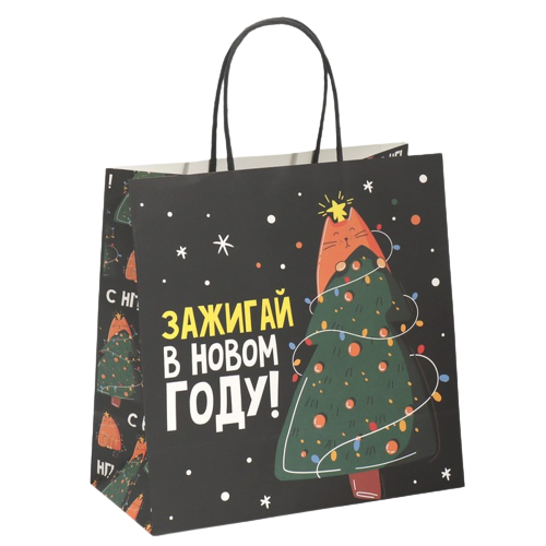 Gift Bag Ignite, 22 x 22 x 11 cm