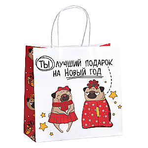 Gift bag You are the best gift, 22 x 22 x 11 cm