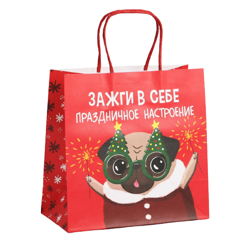 Gift Bag Light It Up Inside, 22 x 22 x 11 cm