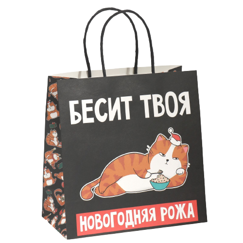 Gift Bag Roza, 22 x 22 x 11 cm