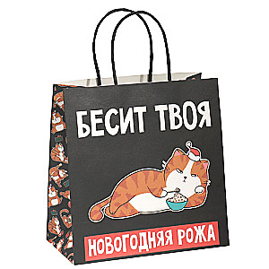 Gift Bag Roza, 22 x 22 x 11 cm