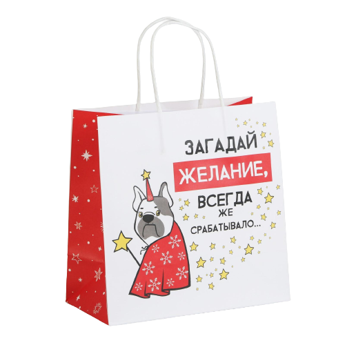 Gift Bag Make a Wish, 22 x 22 x 11 cm