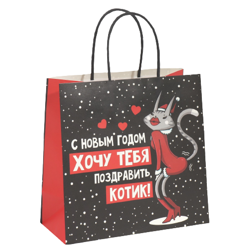 Gift Bag Kitty, 22 x 22 x 11 cm