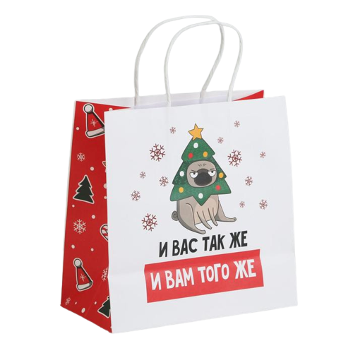 Gift Bag A you too, 22 x 22 x 11 cm