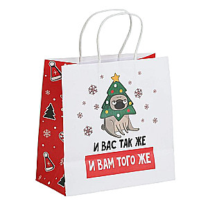 Gift Bag A you too, 22 x 22 x 11 cm