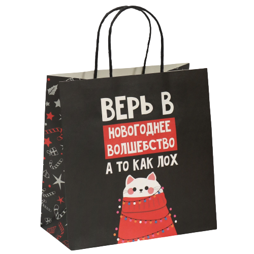 Gift bag Like a fool, 22 x 22 x 11 cm