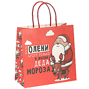 Gift bag Santa Claus, 22x22x11 cm