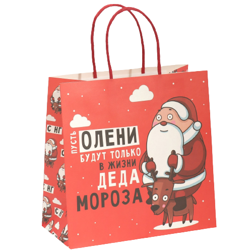 Gift bag Santa Claus, 22x22x11 cm