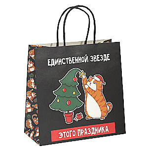 Gift Bag Star, 22 x 22 x 11 cm