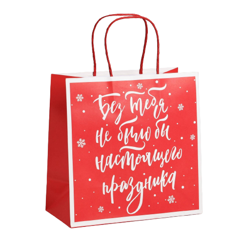 Gift bag Happy New Year!, 22 x 22 x 11 cm