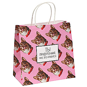 Gift bag Kitty, 22 x 22 x 11 cm