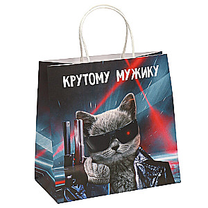 Gift Bag for a Man, 22 x 22 x 11 cm